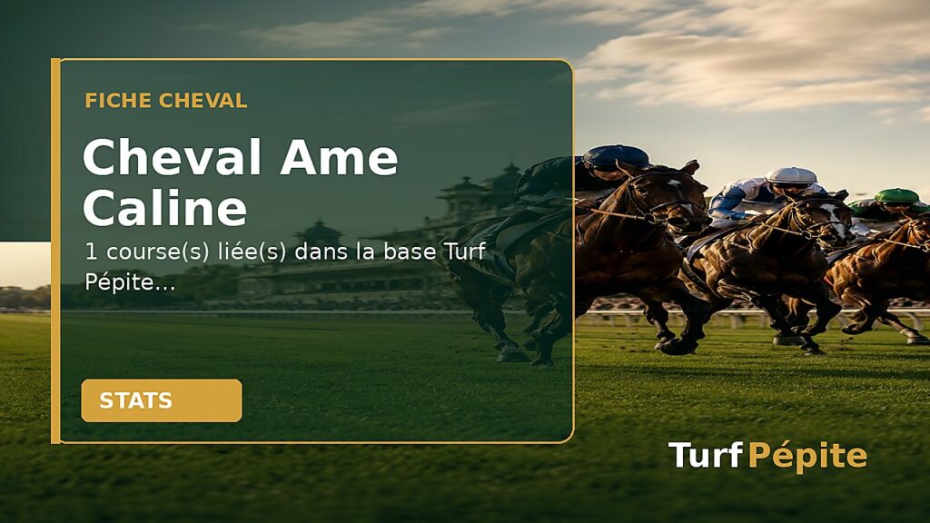 Cheval Ame Caline : fiche, courses et statistiques