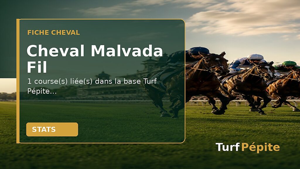 Cheval Malvada Fil : fiche, courses et statistiques