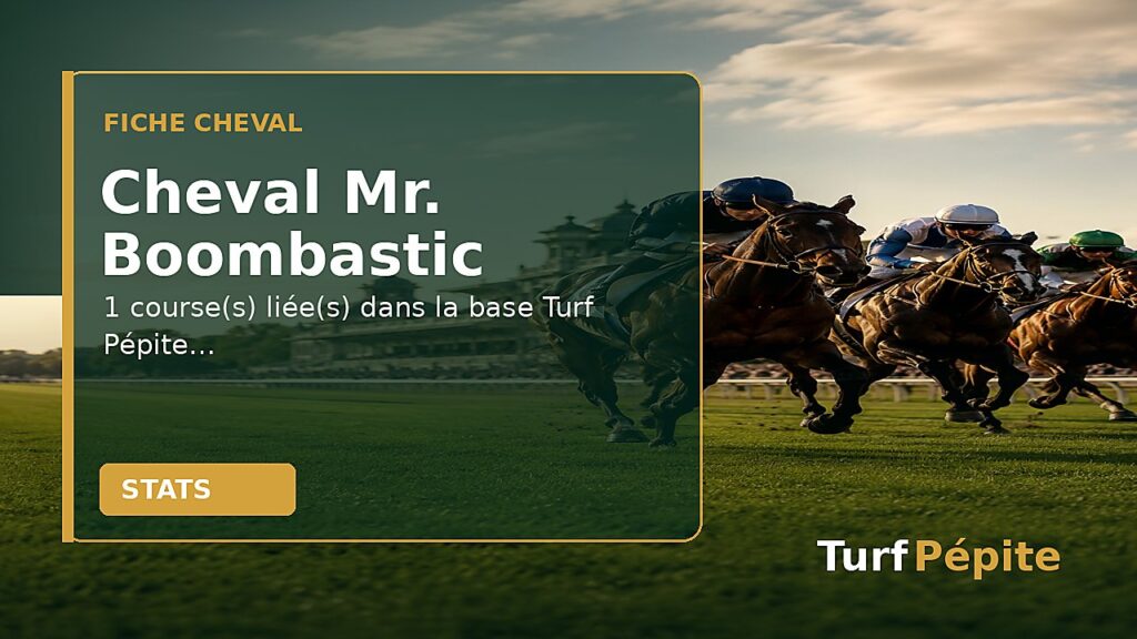 Cheval Mr. Boombastic : fiche, courses et statistiques