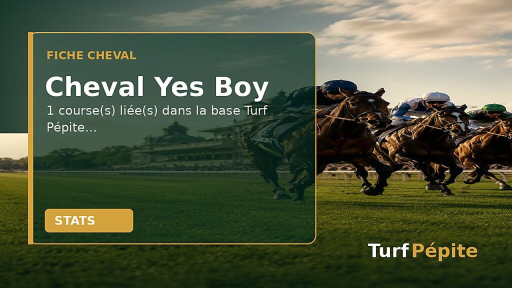 Cheval Yes Boy : fiche, courses et statistiques
